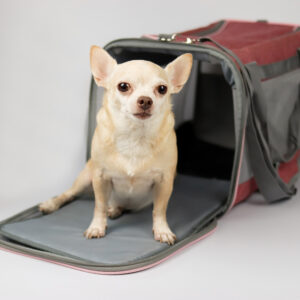 Pet Travel Bag